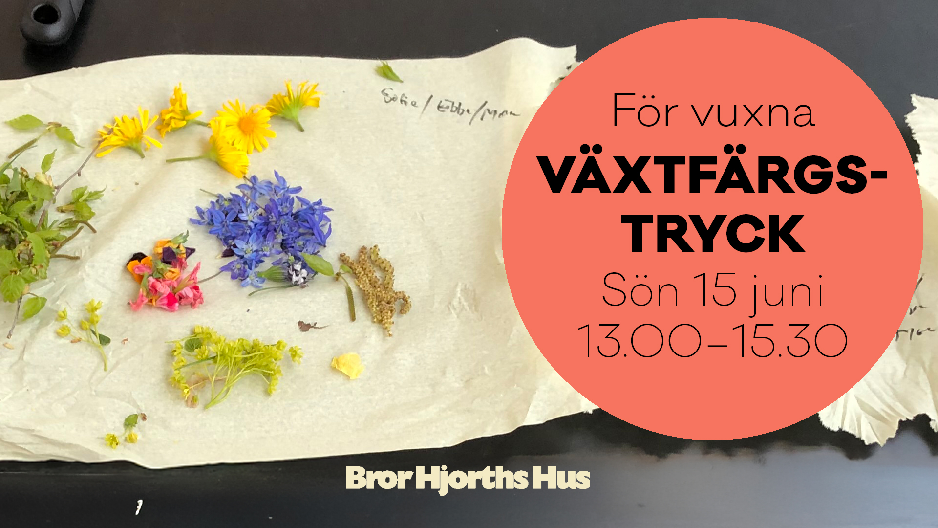 Växtfärgstryck verkstad för vuxna