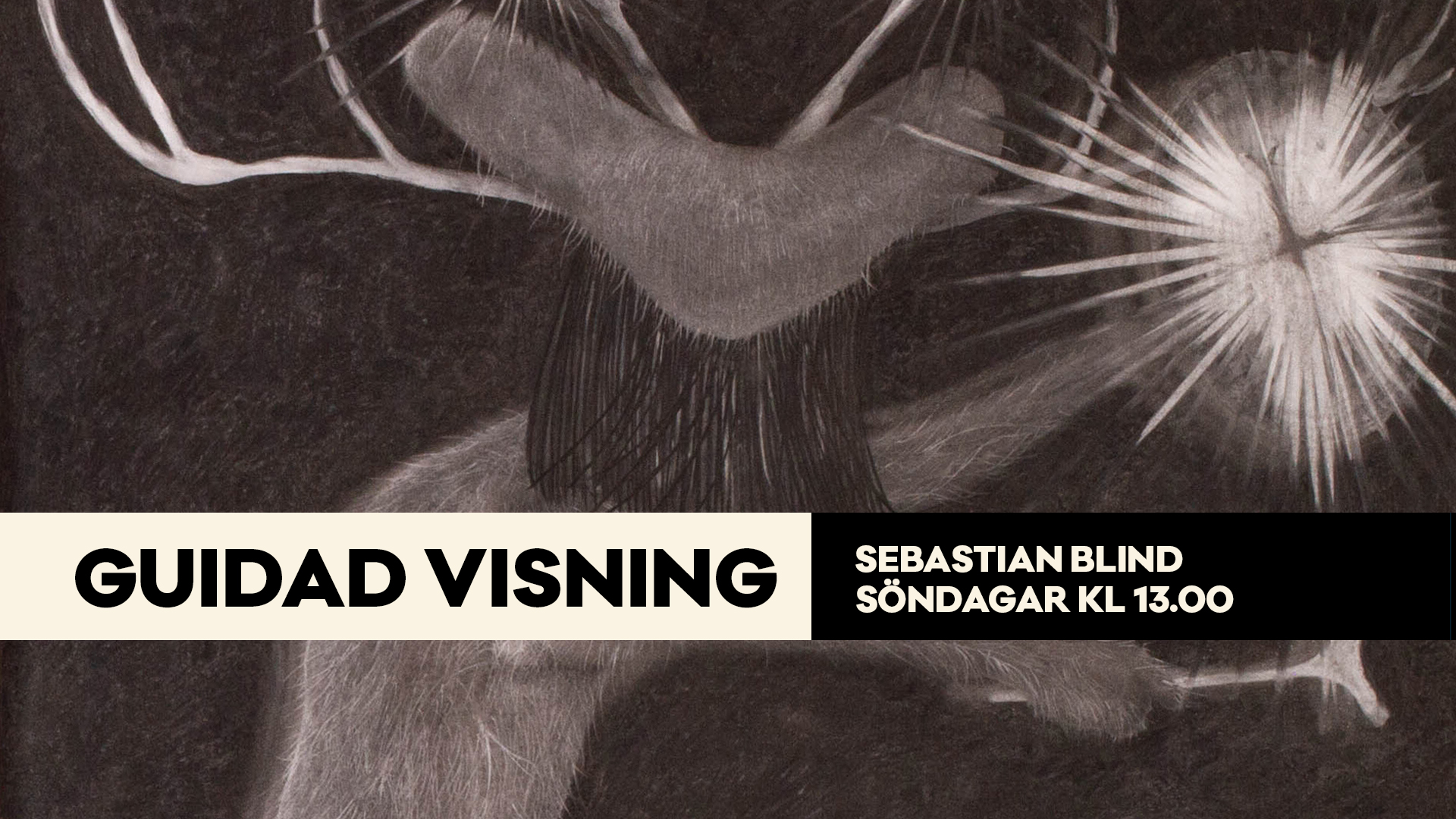 Guidad visning av Sebastian Blinds utställning